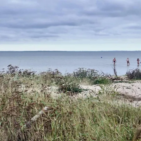 Semesterbostad Ferienhaus-zwischen-wald-und-meer-mit-sauna-und-kamin Abjerg